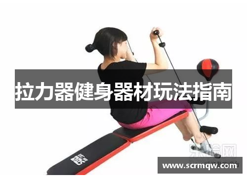 拉力器健身器材玩法指南