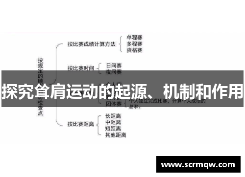 探究耸肩运动的起源、机制和作用